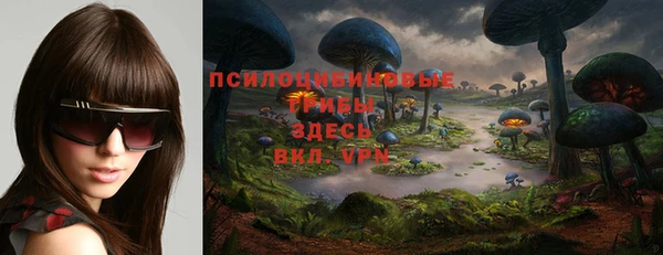 Альфа ПВП Волоколамск