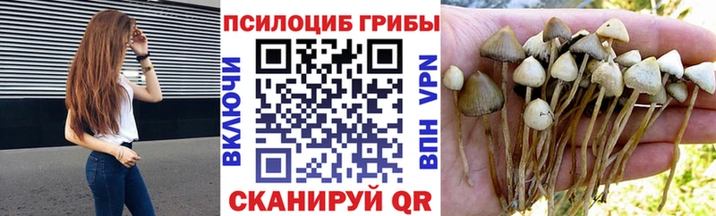 Псилоцибиновые грибы мицелий  ссылка на мегу рабочий сайт  Екатеринбург 